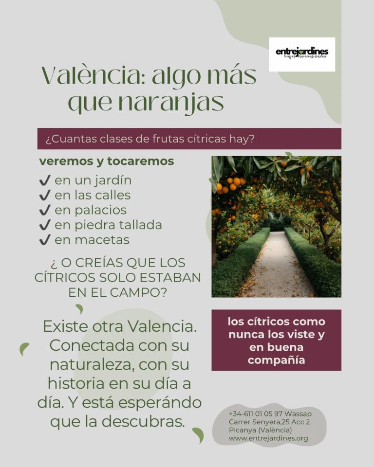 Actividades València Primavera 2026
